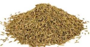 Organic Cumin seeds