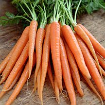 Fresh Carrots