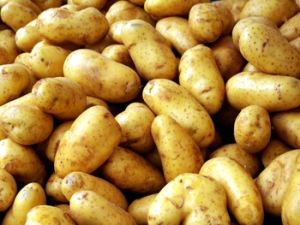 Fresh Potatoes