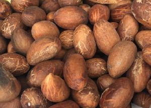 Bitter Kola Nuts