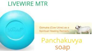 Panchagavya Bath Soap