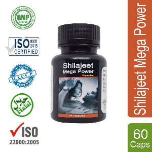 Shilajeet Mega Power Capsules