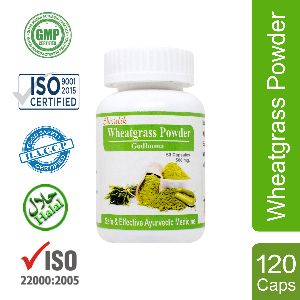 Wheatgrass Powder Capsules