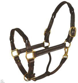 Horse Halter