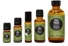 Tea Tree Oil