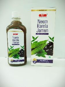 Karela Juice