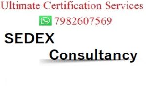 SEDEX Auditor in Delhi