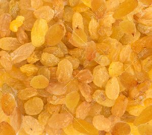 Dry Golden Raisins