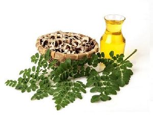 Moringa oil