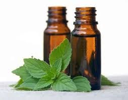 Peppermint Oil