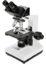 Binacular Microscope