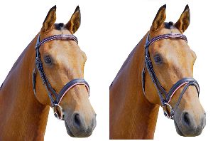 Horse Bridles