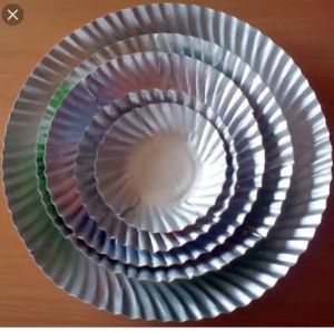 silver laminated paper plate