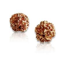 Rudraksha