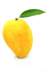 Fresh Badami Mango