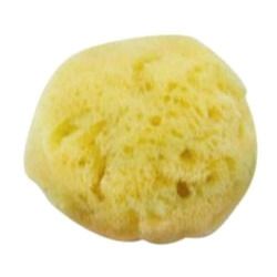 Natural Cosmetic Sea Sponge