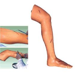 Surgical Suture Leg Model