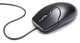 Computer Mouse