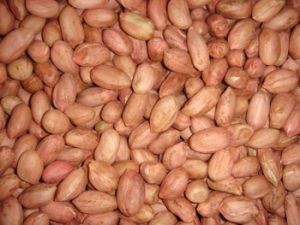 Dried Peanut Kernels