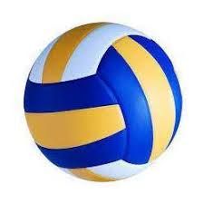 Sports Volleyballs