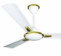 Ceiling Fans