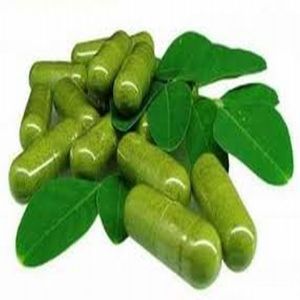 Moringa Capsules