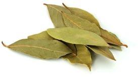 Bay Leaves