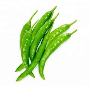 Fresh Green Chilli