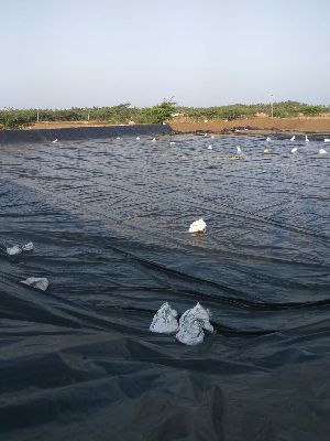 HDPE Tarpaulin