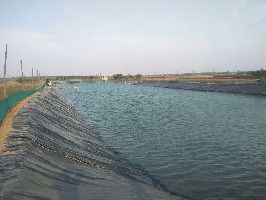 HDPE Tarpaulin
