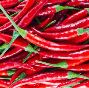 Fresh Red Chilli