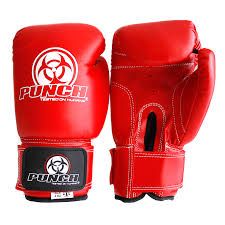 Punching Gloves