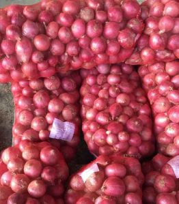 Fresh Red Onion