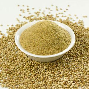 Coriander Powder