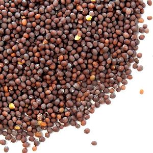 Black Mustard Seeds