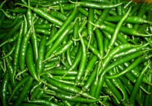 Fresh Green Chilli