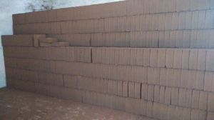 Coir Pith Blocks