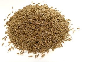 Cumin Seeds