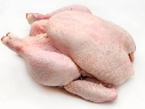 Frozen Chicken