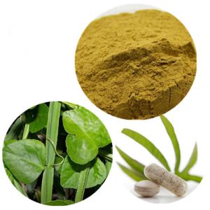 Cissus Quadrangularis Extract