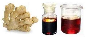 Ginger Oleoresin Extract