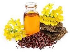 Mustard oil