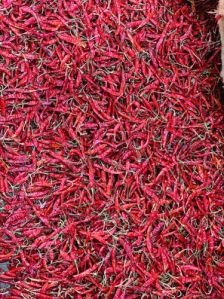 Teja Dried Red Chilli