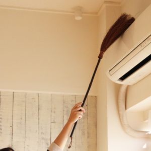 ceiling broom