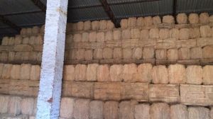 Wood Wool Bales