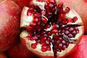 Fresh Pomegranates