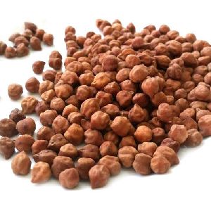 dried black chickpeas