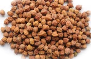 Natural Black Chickpeas