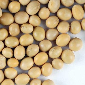 Natural Soybean Seeds