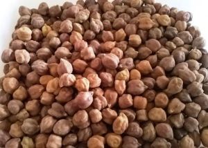 Organic Black Chickpeas